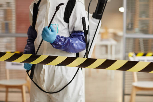 Professional Sewage Cleanup technician working in Cataumet, MA